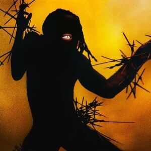 Young Fathers - Heavy Heavy  LP LP